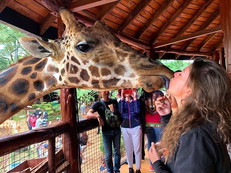 The Giraffe Center